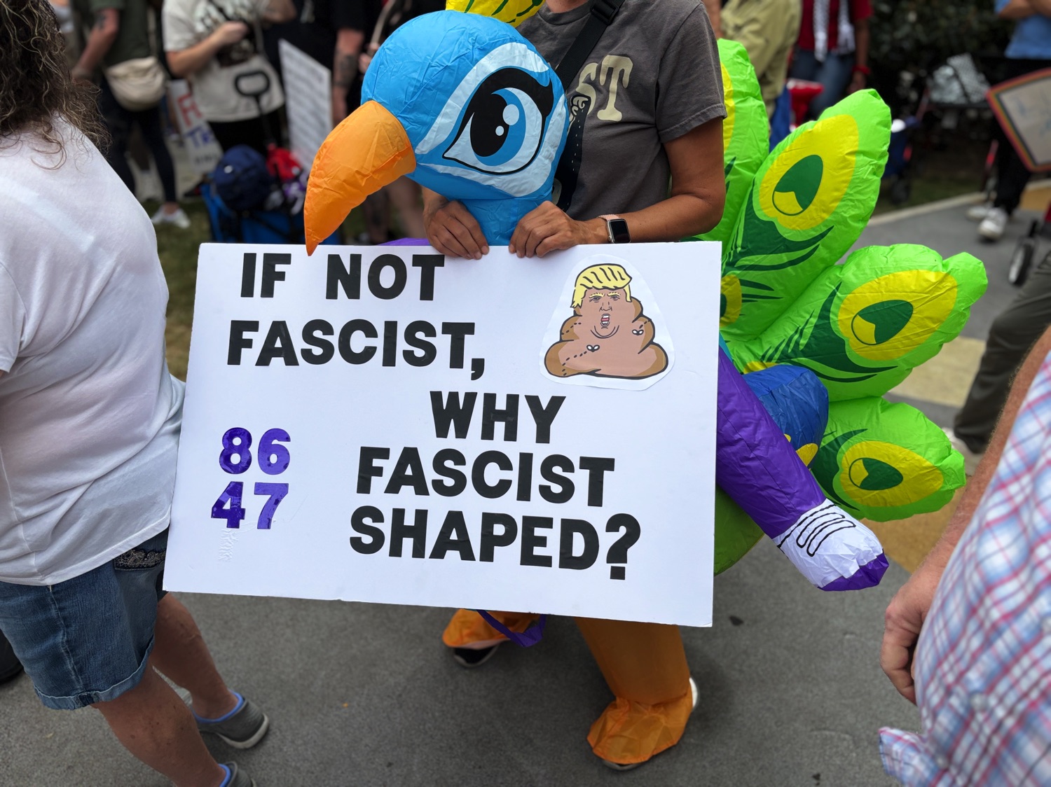 Protester with anti-Trump sign at Dallas No Kings event.