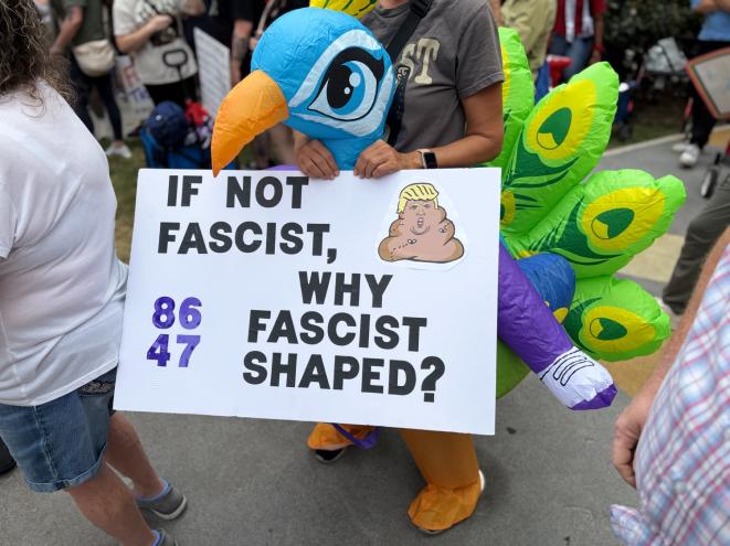 Protester with anti-Trump sign at Dallas No Kings event.