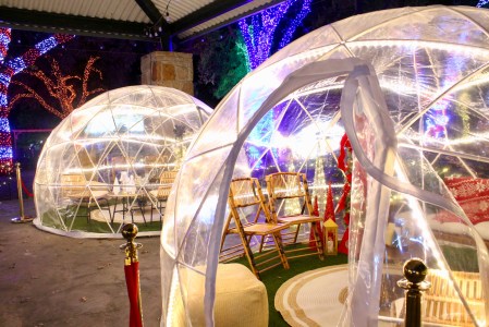 Photos: The Dallas Zoo Lights Show is a Holiday Must