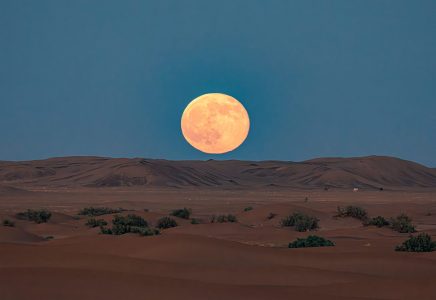 When to See the Beaver Moon Over Dallas