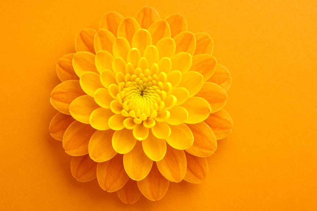 Mesquite Symphony Orchestra: Requiem & Valor