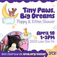 Tiny Paws, Big Dreams Puppy & Kitten Shower—April 18 thumbnail