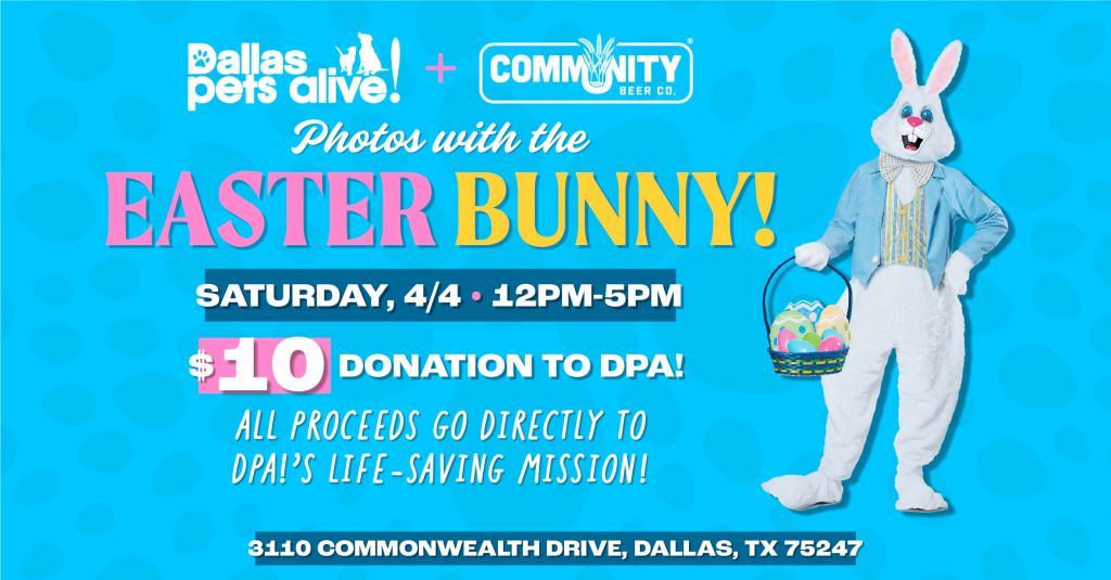 Photos with the Easter Bunny at Community Beer Co.