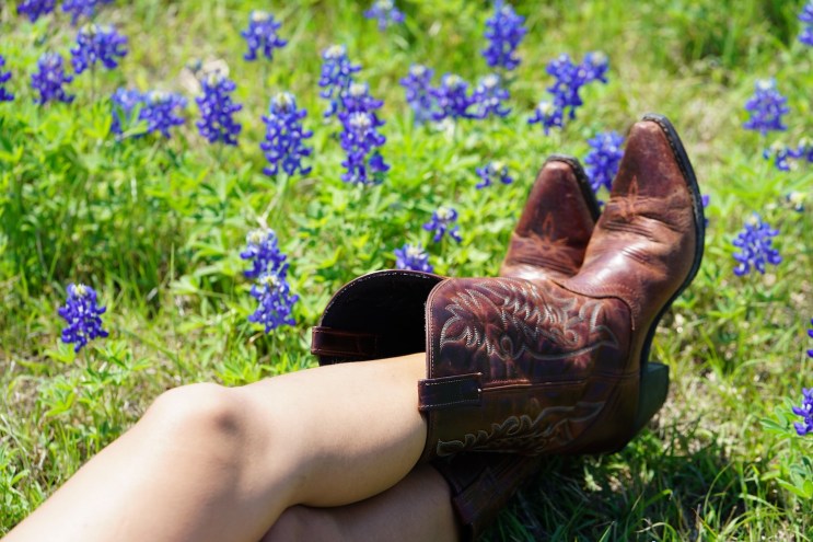 Woman's leg in cowboy boots in field of bluebonnets.