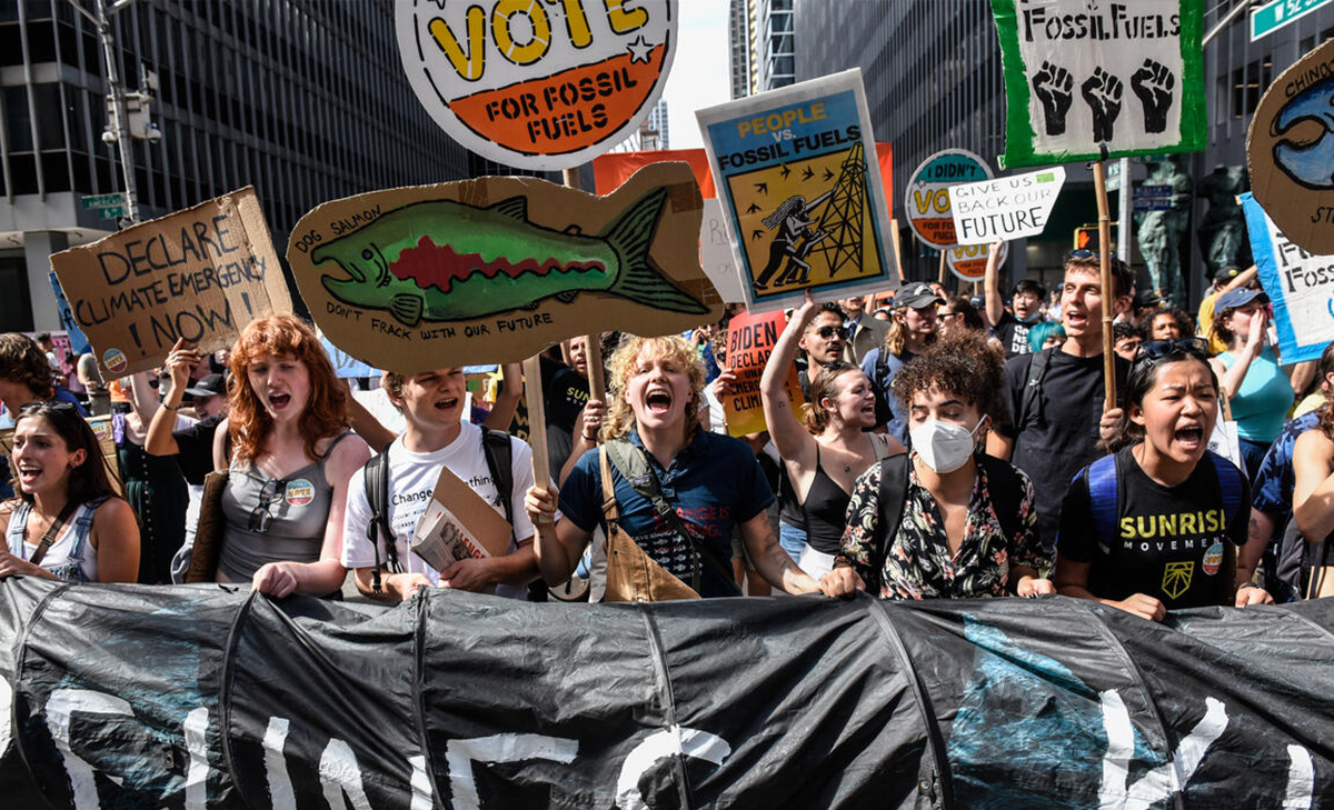 activists hold signs at a protest