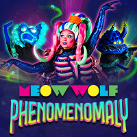 Experience Meow Wolf Grapevine’s Phenomenomaly! thumbnail