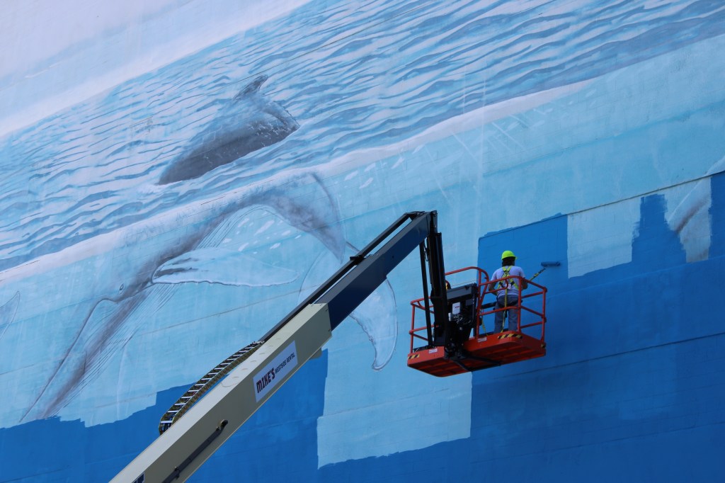 Environment ‘This feels personal’: Beloved Dallas whale wall mural painted over for World Cup display The life-sized whale mural was painted in 1999 as the 82nd installation of a nationwide campaign for marine conservation. By Emma Ruby