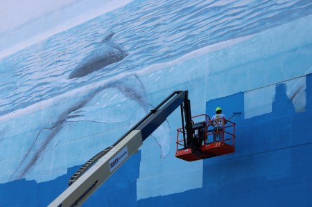 Dallas' whale wall is now extinct 