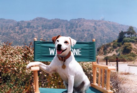 Documentary goes behind the North Texas scenes of 'Wishbone'