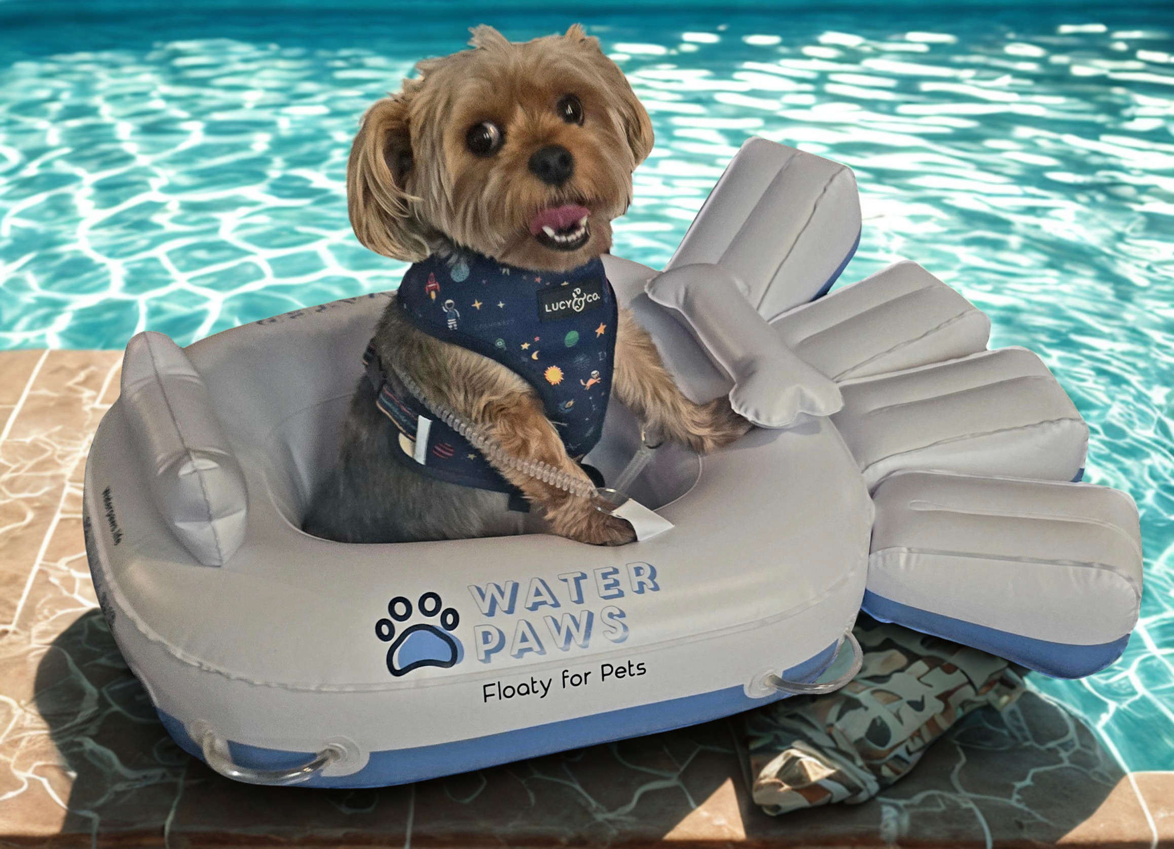 Win a Teacup/Toy Water Paws Floaty!