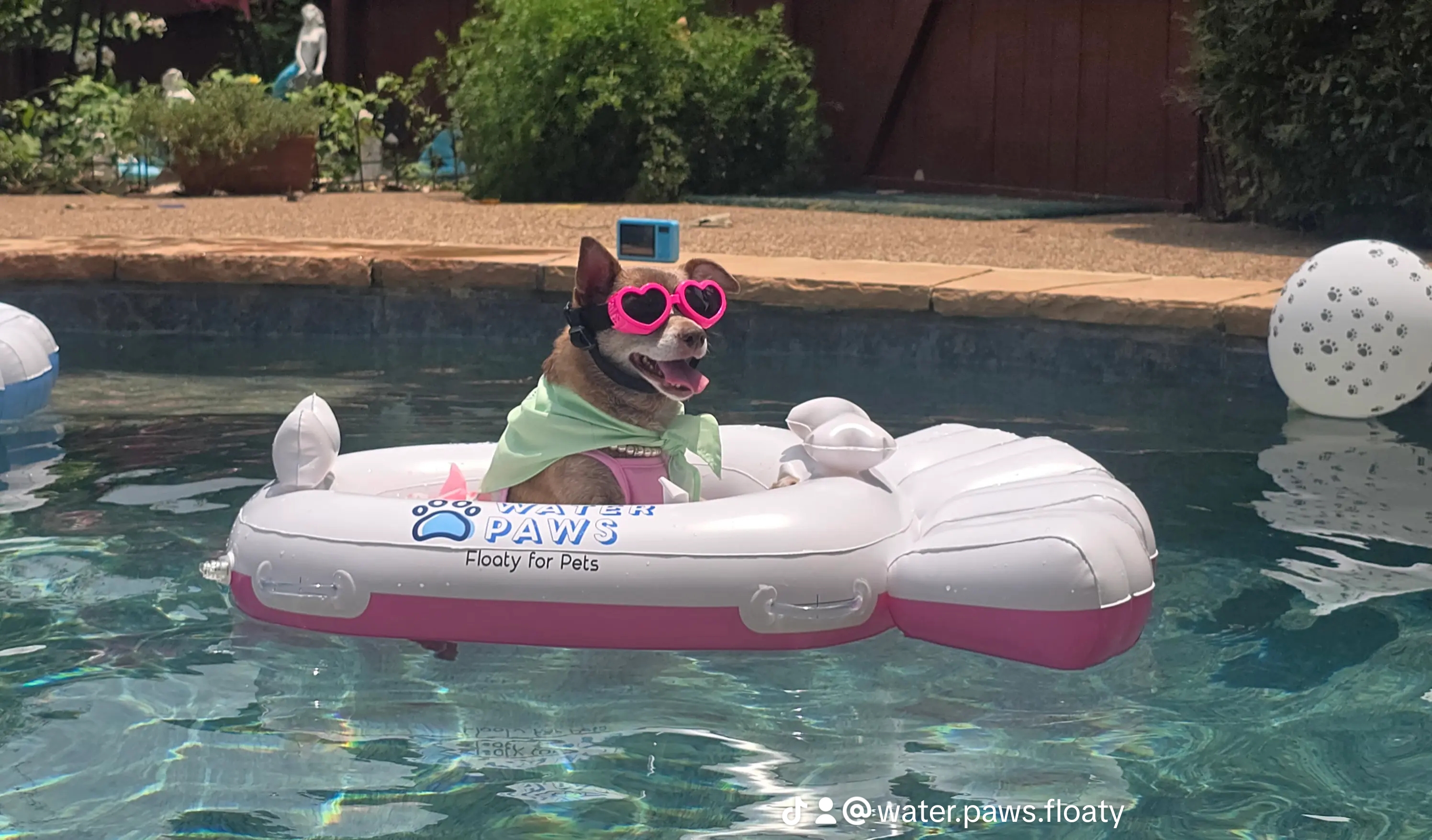 Win a Small Dog Water Paws Floaty!