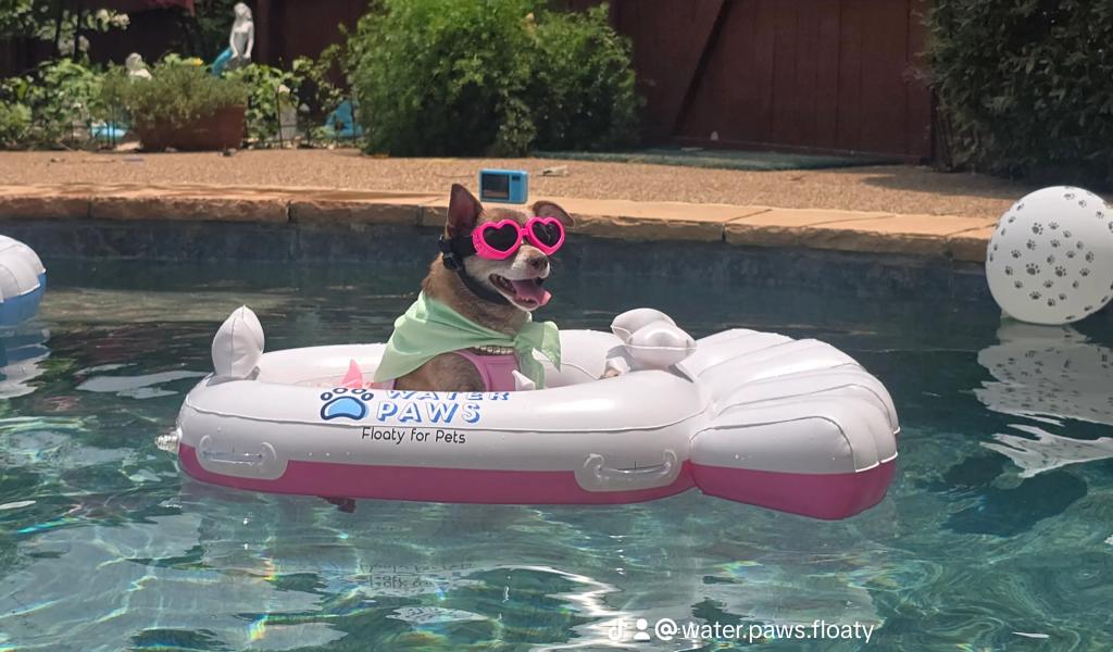 Win a Small Dog Water Paws Floaty!