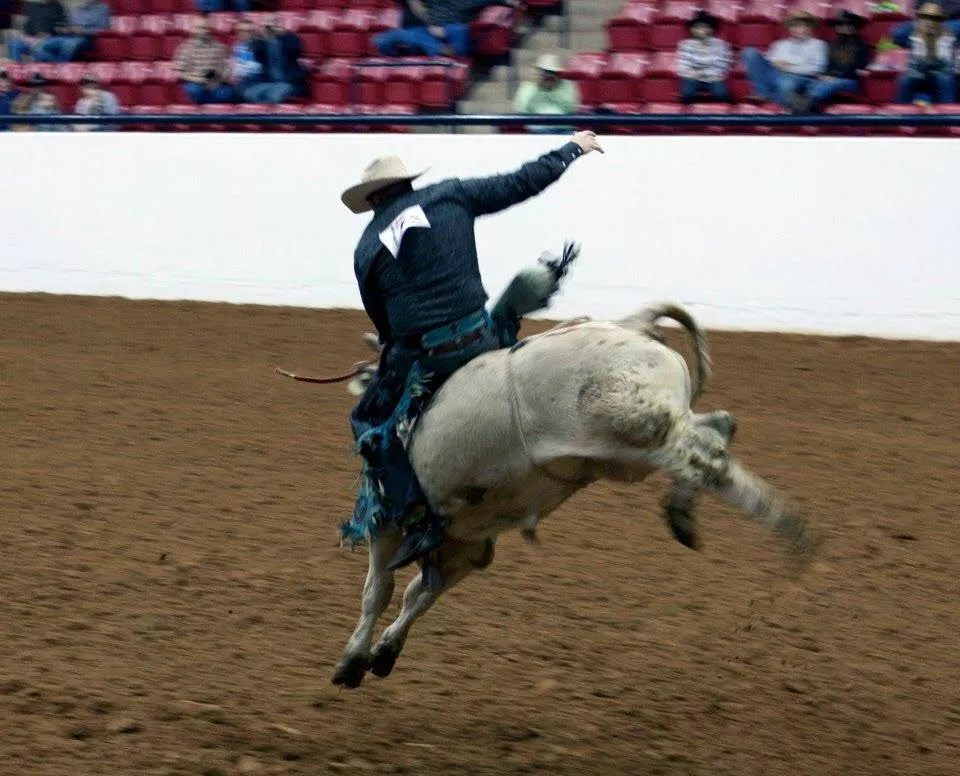 Confessions of Cowboys in the Texas Gay Rodeo
