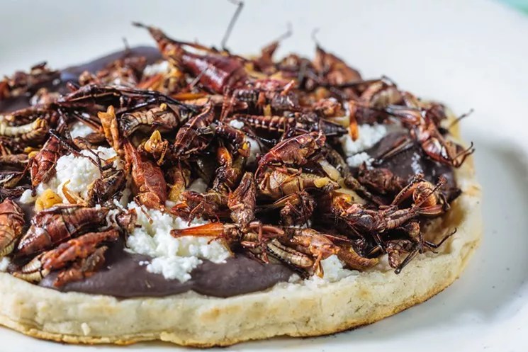 One of Oak Cliff’s Best Under-the-Radar Restaurants Is Moving Near Bishop Arts