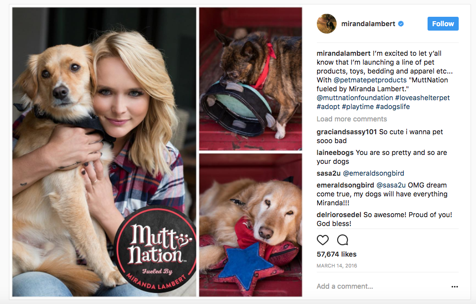 Miranda Lambert Rescues 70-Plus Dogs From Hurricane Harvey