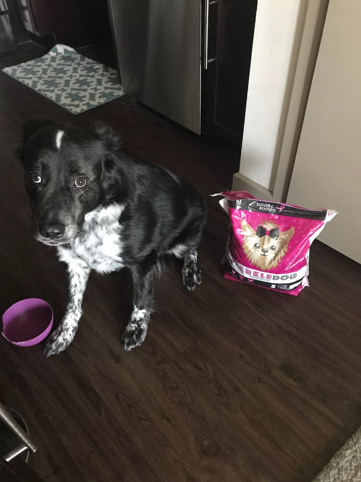 Review: Real Housewife Kameron Westcott’s Pink Dog Food Isn’t Pink