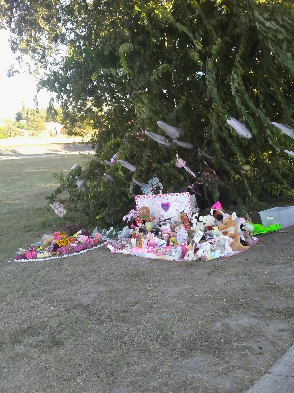 Mediums, Volunteers and Police Probe the Suspicious Disappearance of a 3-year-old Richardson Girl