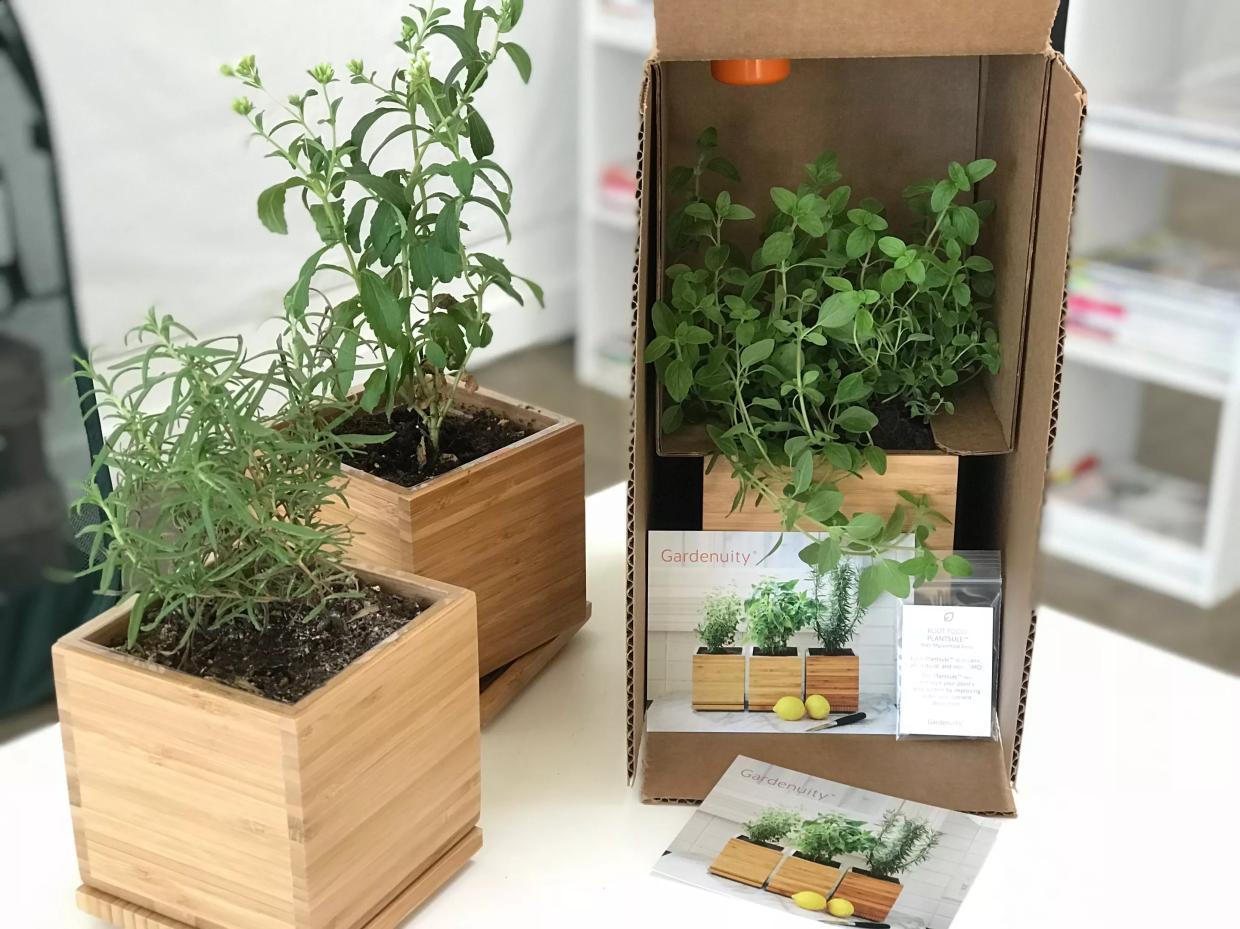 A New Dallas Company Wants to Become the Blue Apron of Edible Gardening