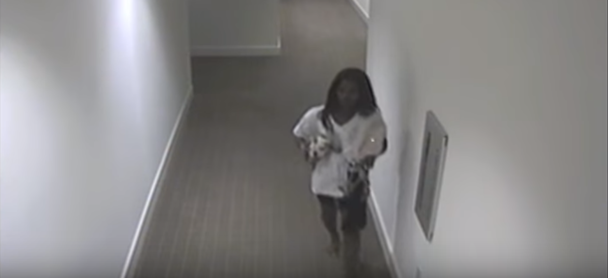 Dallas Police Search for Woman Suspected of Drugging Man, Stealing His Puppy