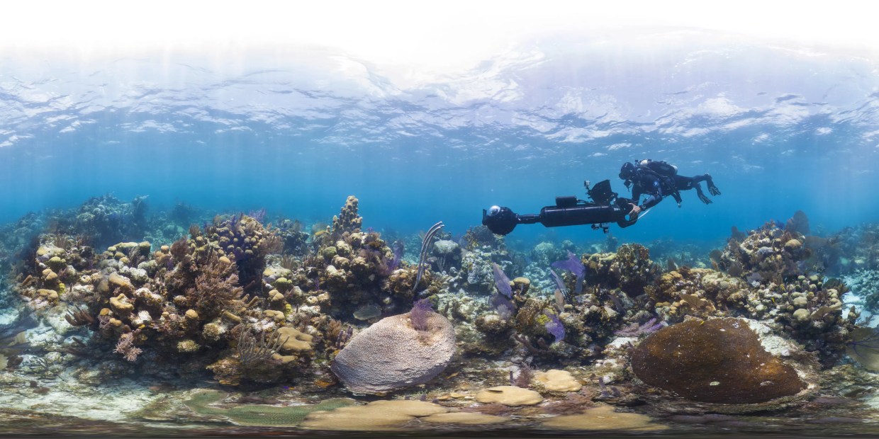 <i>Chasing Coral</i> Executive Producer Jill Ahrens Gets Climate Skeptics and Film Critics Buzzing