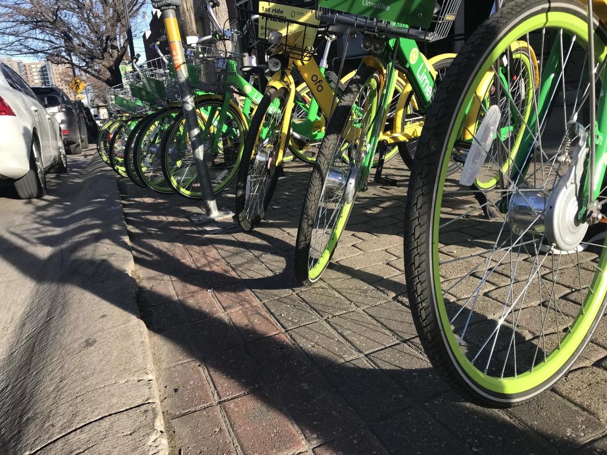 Factual Quiz: Ride-Share Bike or Lady of the Night?