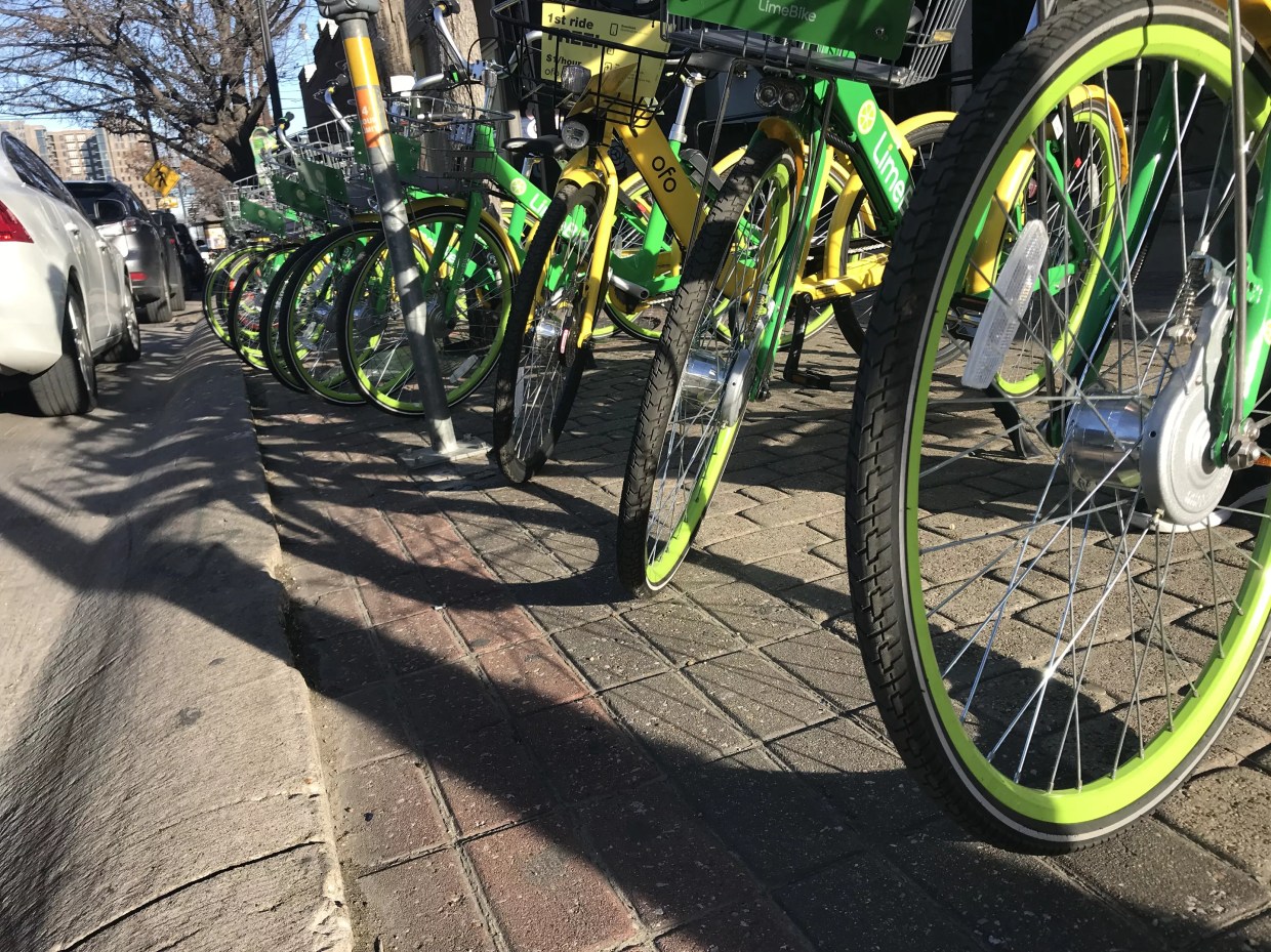 Factual Quiz: Ride-Share Bike or Lady of the Night?