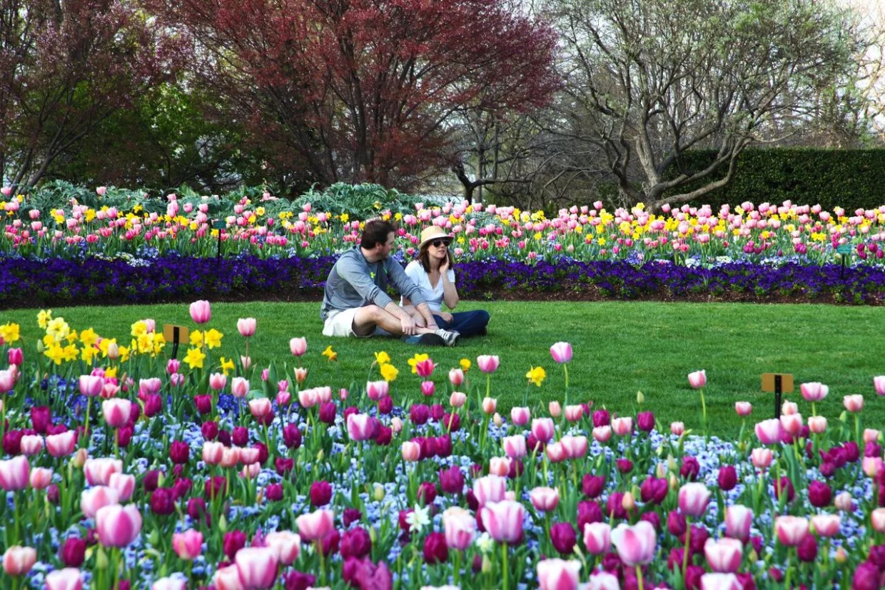 Cheap and Free Things to Do in Dallas This Week