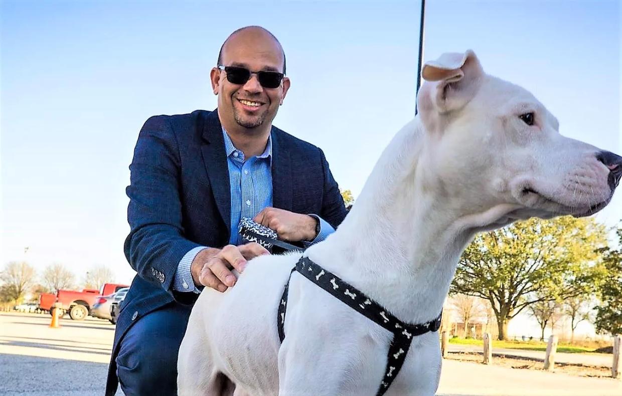 If Pit Bulls Are Not to Blame, Then We Are. So What Do We Do About That?