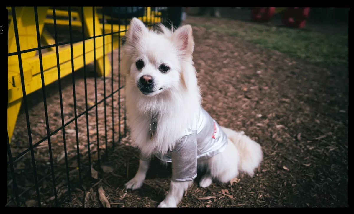 Best Things To Do in Dallas This Weekend