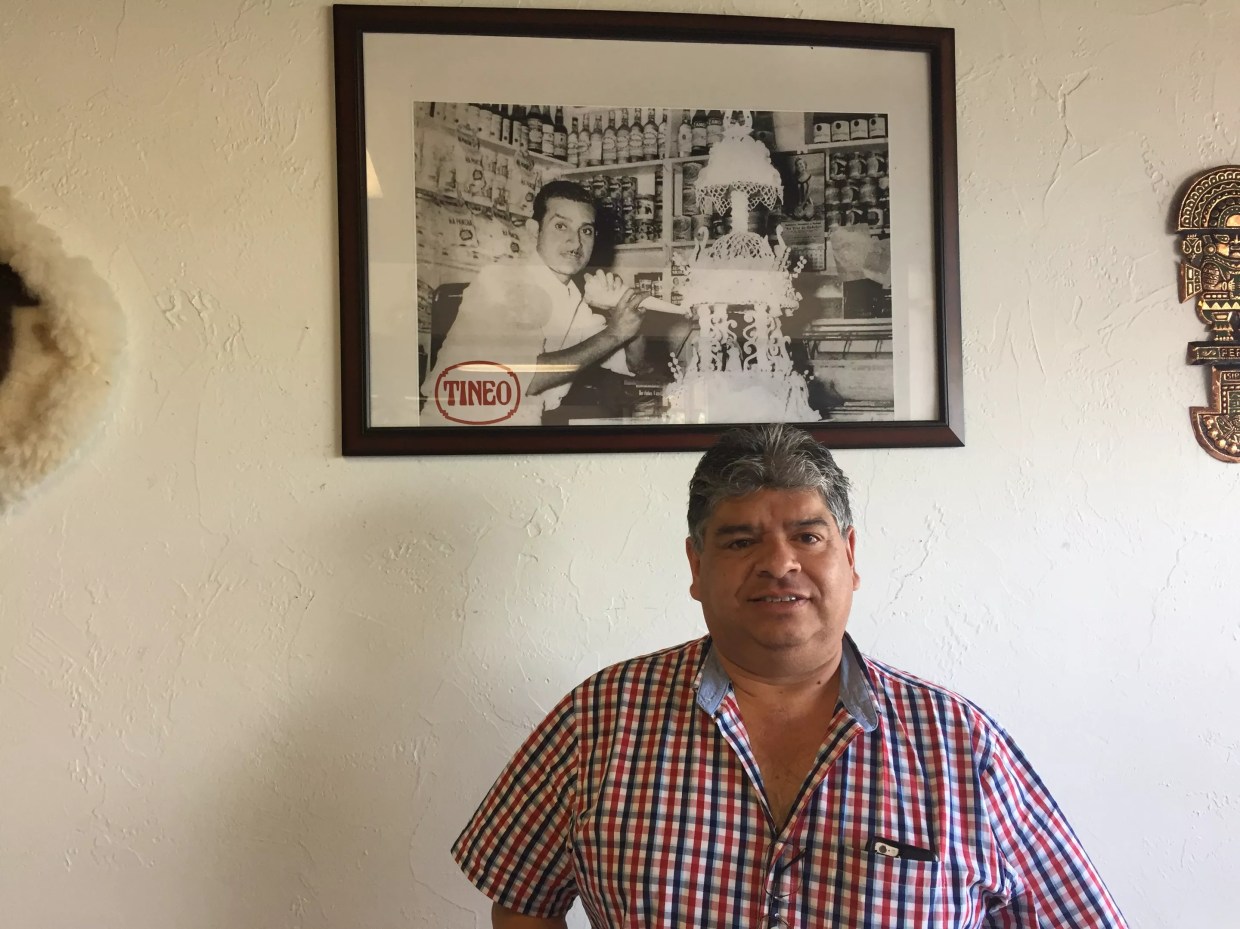 Modeled After Family Pastry Shops in Peru, Tineo Cafe Bakes Stellar Treats