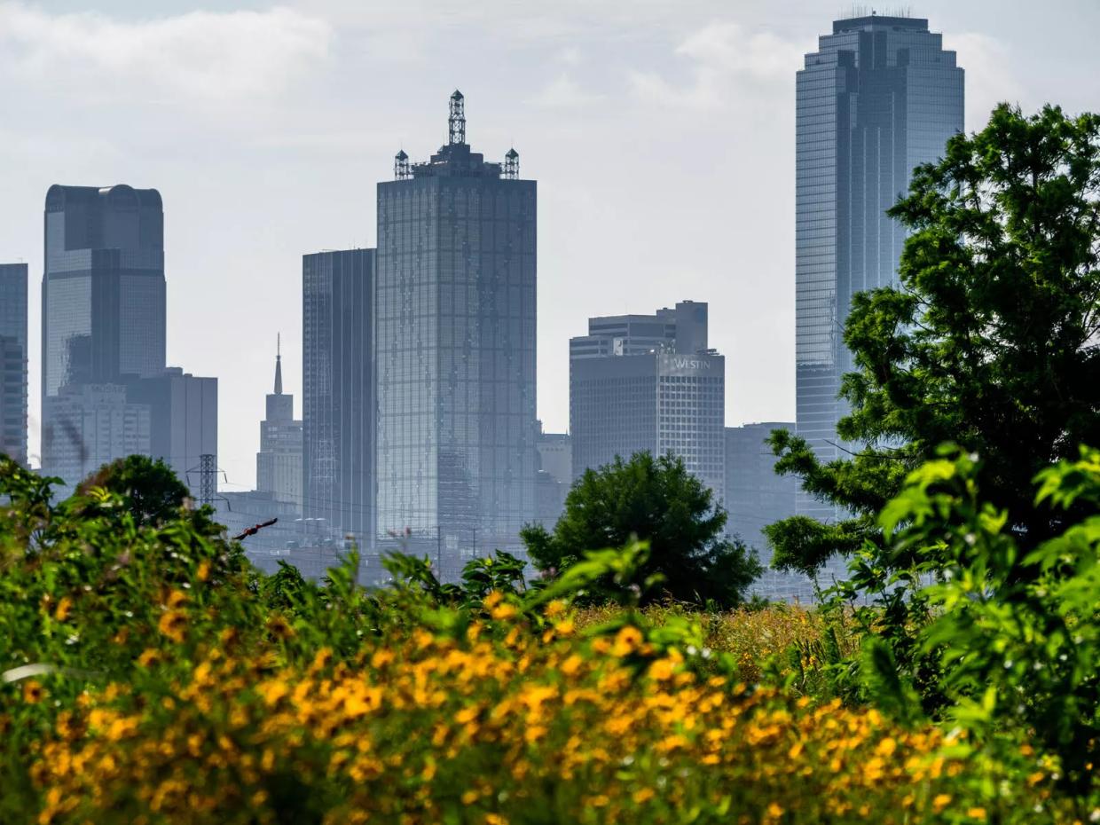 Book Celebrates National Treasure in Dallas that We Don’t Know Is Here