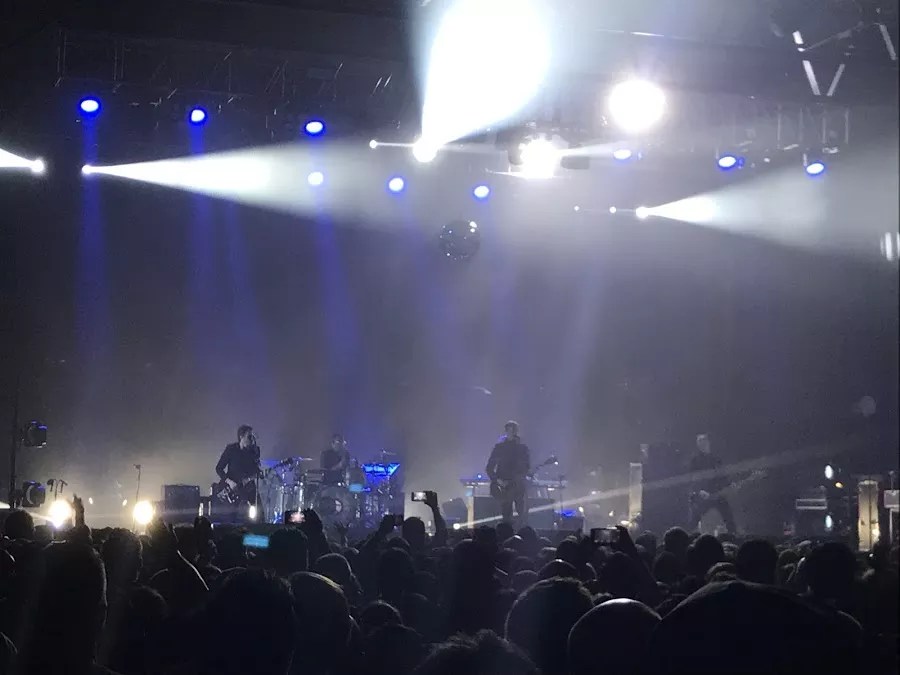 Interpol Proved They Were Made For The Bomb Factory