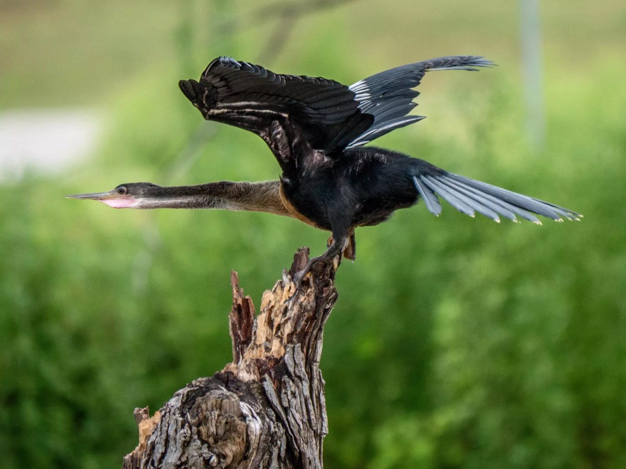 In a Moment of Calm on the Trinity, Some Folks Still Gotta Fight