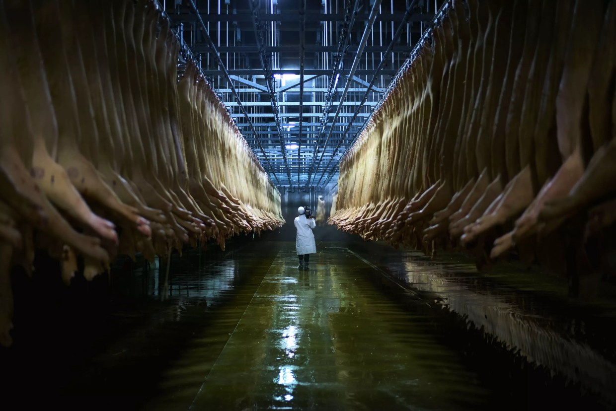 <i>Eating Animals</i> Demands We Face the Truth About Factory Farming