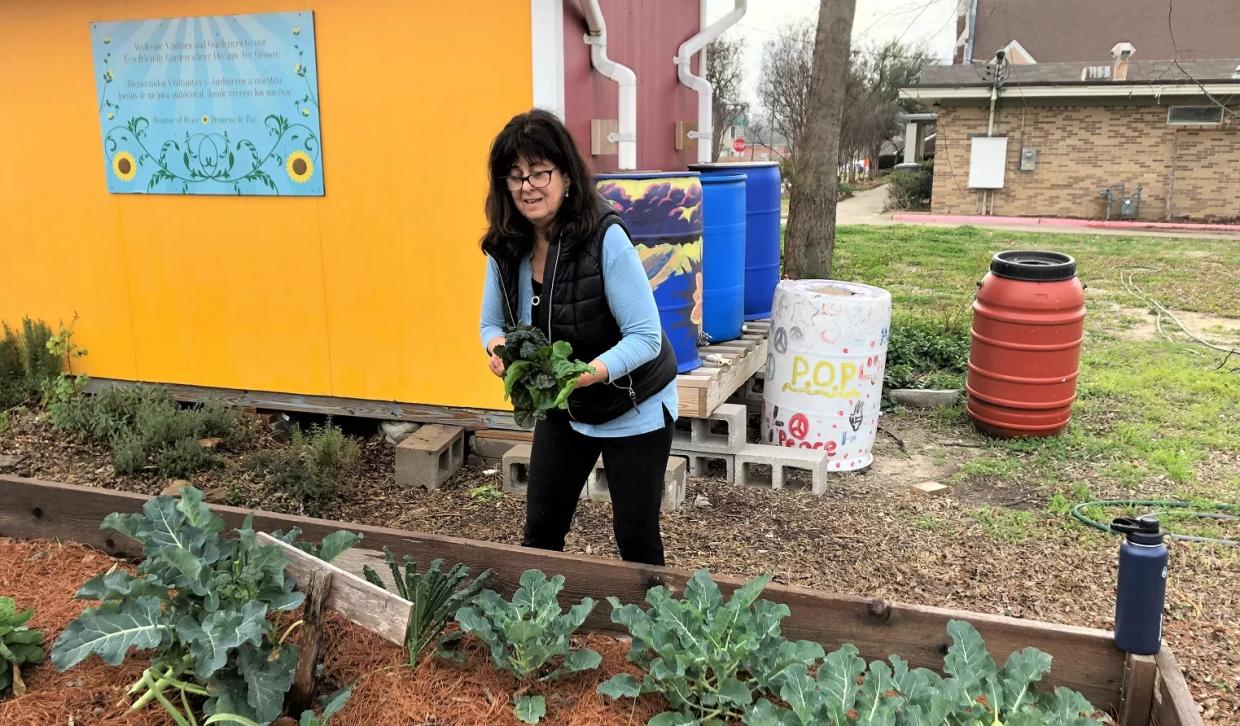 East Dallas Community Gardeners Are the Marines on a Beachhead of Misery