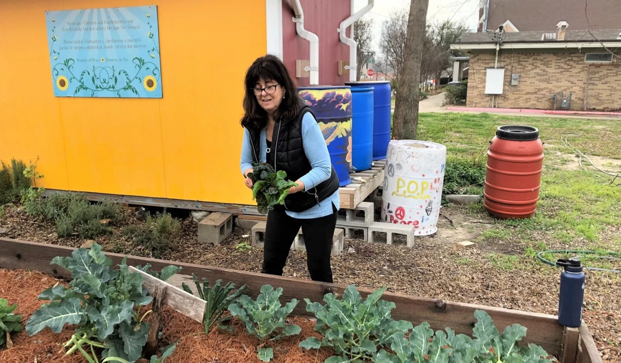 East Dallas Community Gardeners Are the Marines on a Beachhead of Misery