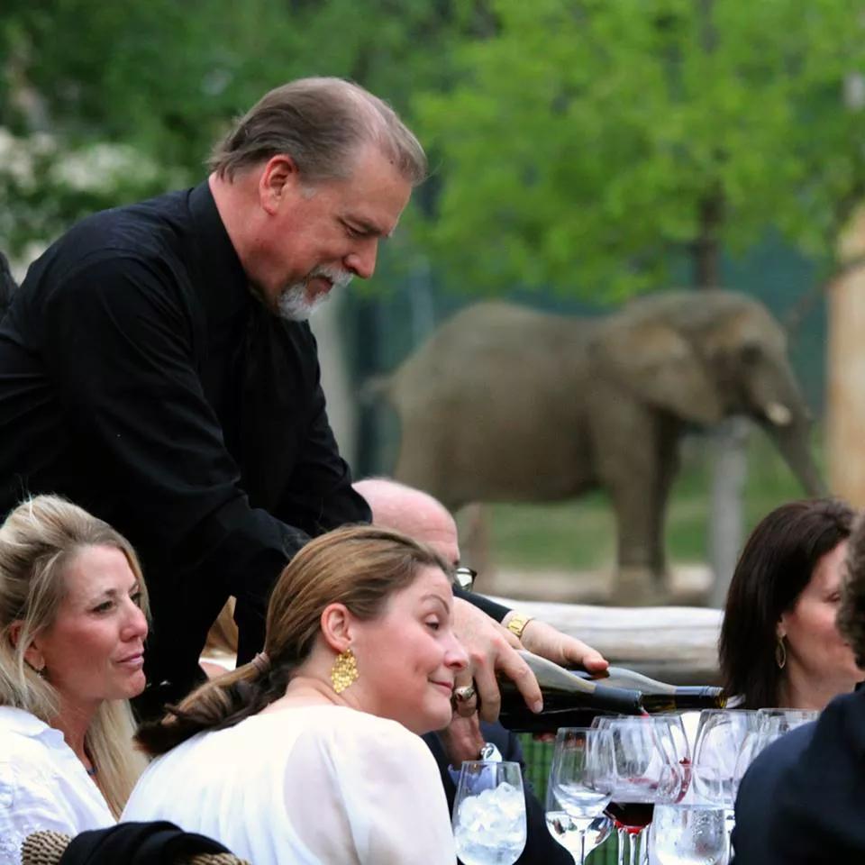 Dallas Zoo Is Attempting to Entice More Adult Visitors. How? With Food and Booze, of Course.