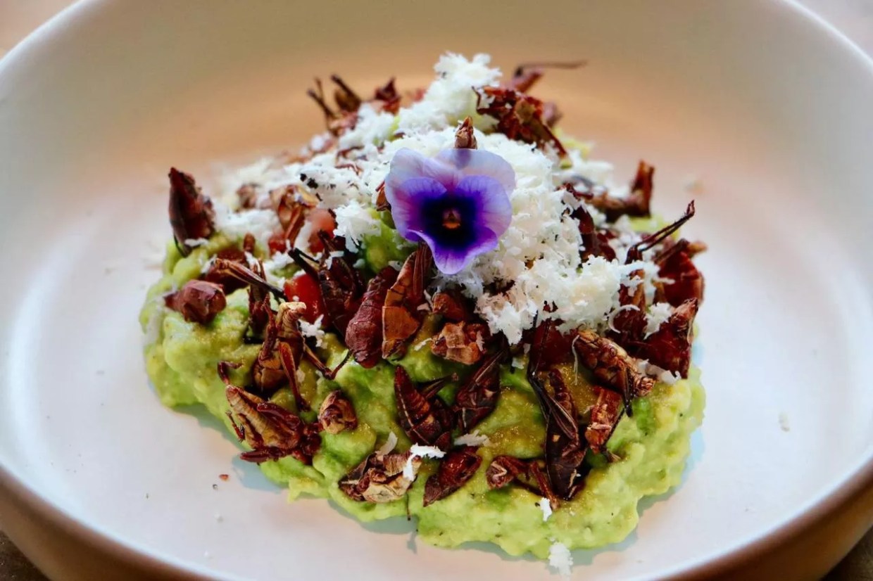 Pair of Decades-Old Taco Institutions from Mexico City Are Coming to Dallas for Taco Libre