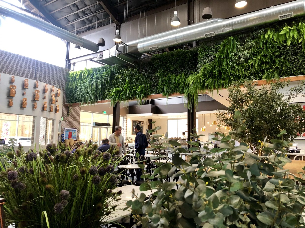 At Uptown’s Latest Brunch Hot Spot, It’s All About House Plants and Carbs