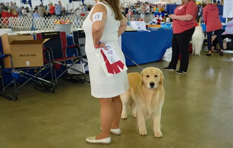 There’s an App for That: Dog Lovers Find Love Through a Tinder-Like Space for Dogs and Owners