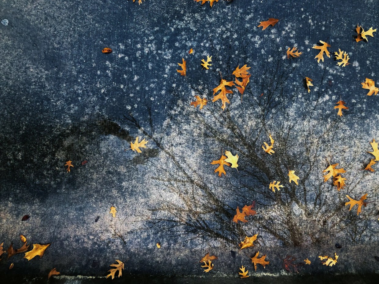 Russian-Born Dallas Photographer Alisa Eykilis Hopes Her Photos Confuse You a Little