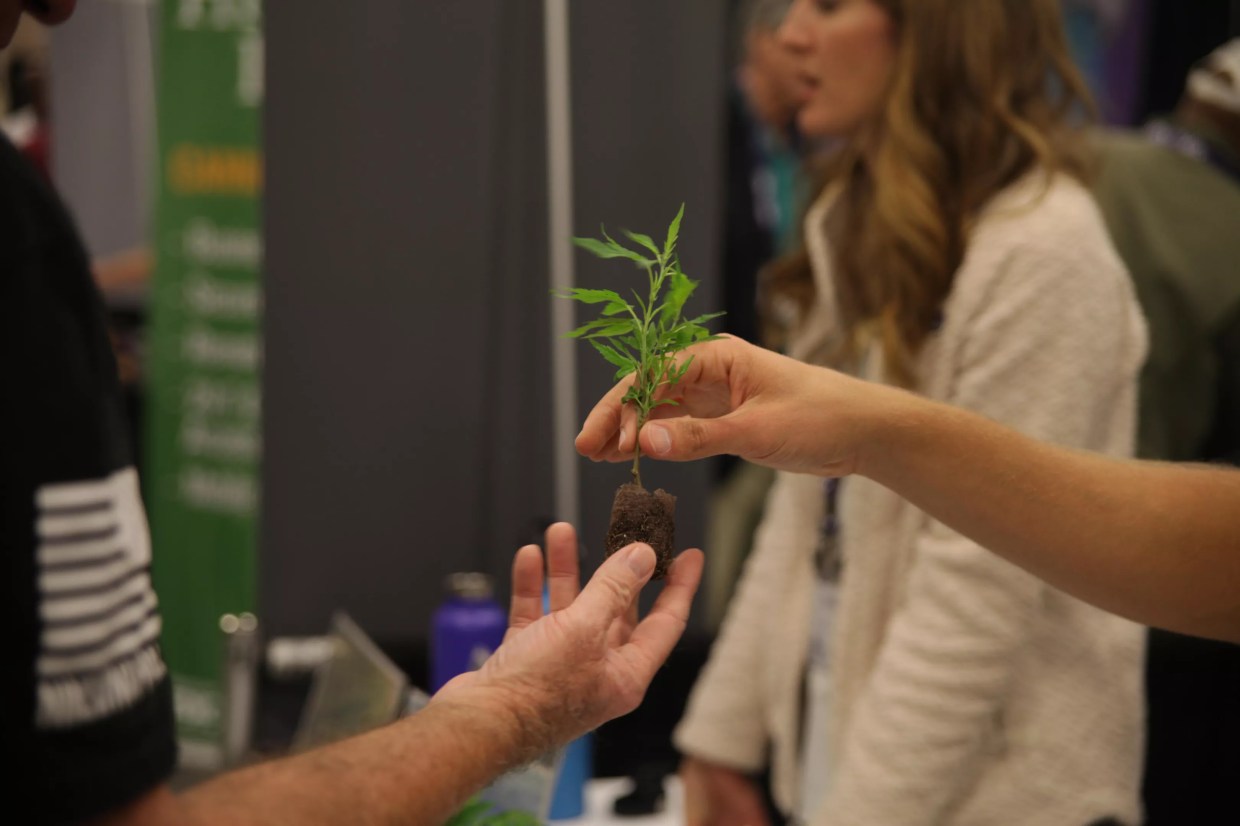 The Lucky Leaf Hemp Expo Brings Together Cannabis Lovers from Across the Country
