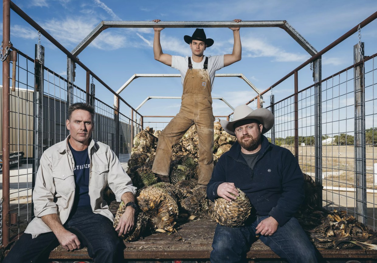 Learn All About the Earthy-Tasting Spirit Sotol, Now Served in Dallas Bars