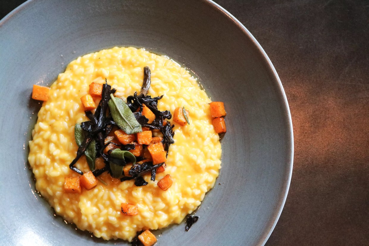 Squash: Why You Should Love It, and Where You Can Get It