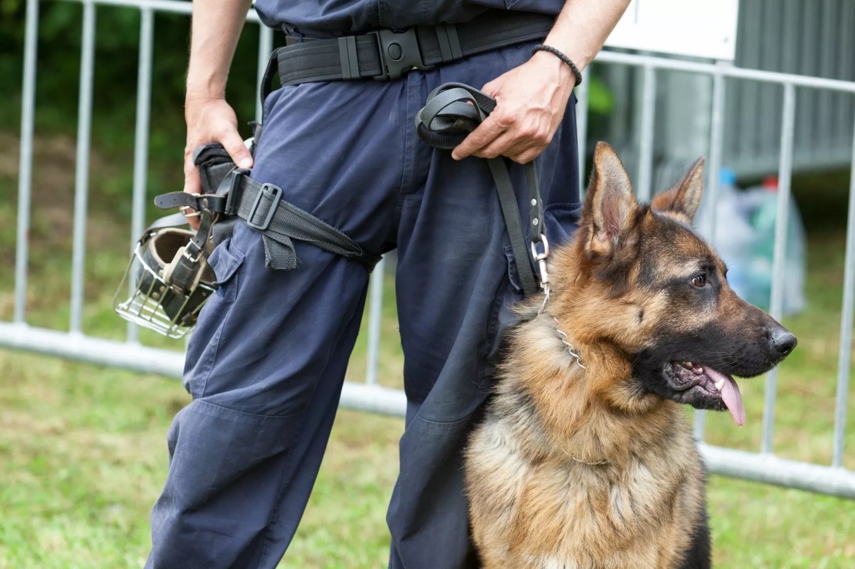 County Pays Up After Deputy’s K-9 Mauls Girl in Schoolyard