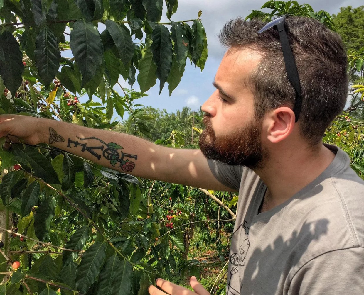 From Dallas to Flower Mound — and Across the Globe — Novel Coffee Roasters Just  Wants to Know Your Story