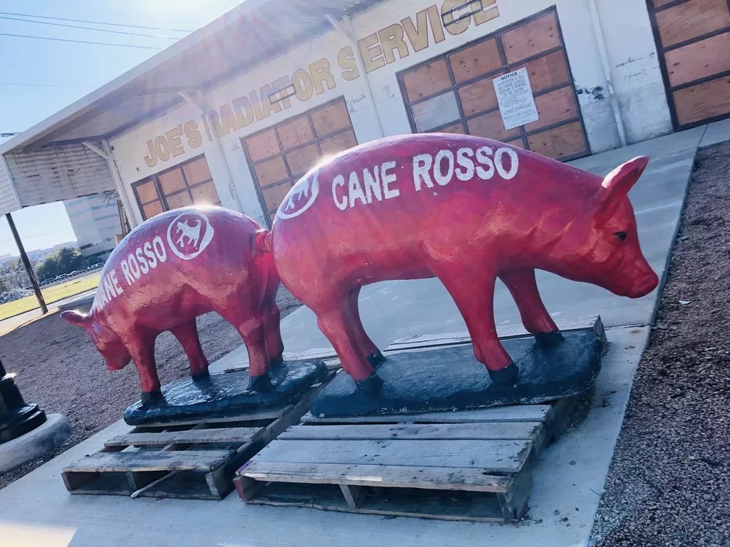 The Pigs Have Landed at Il Cane Rosso in Arlington, Looking to Open in April