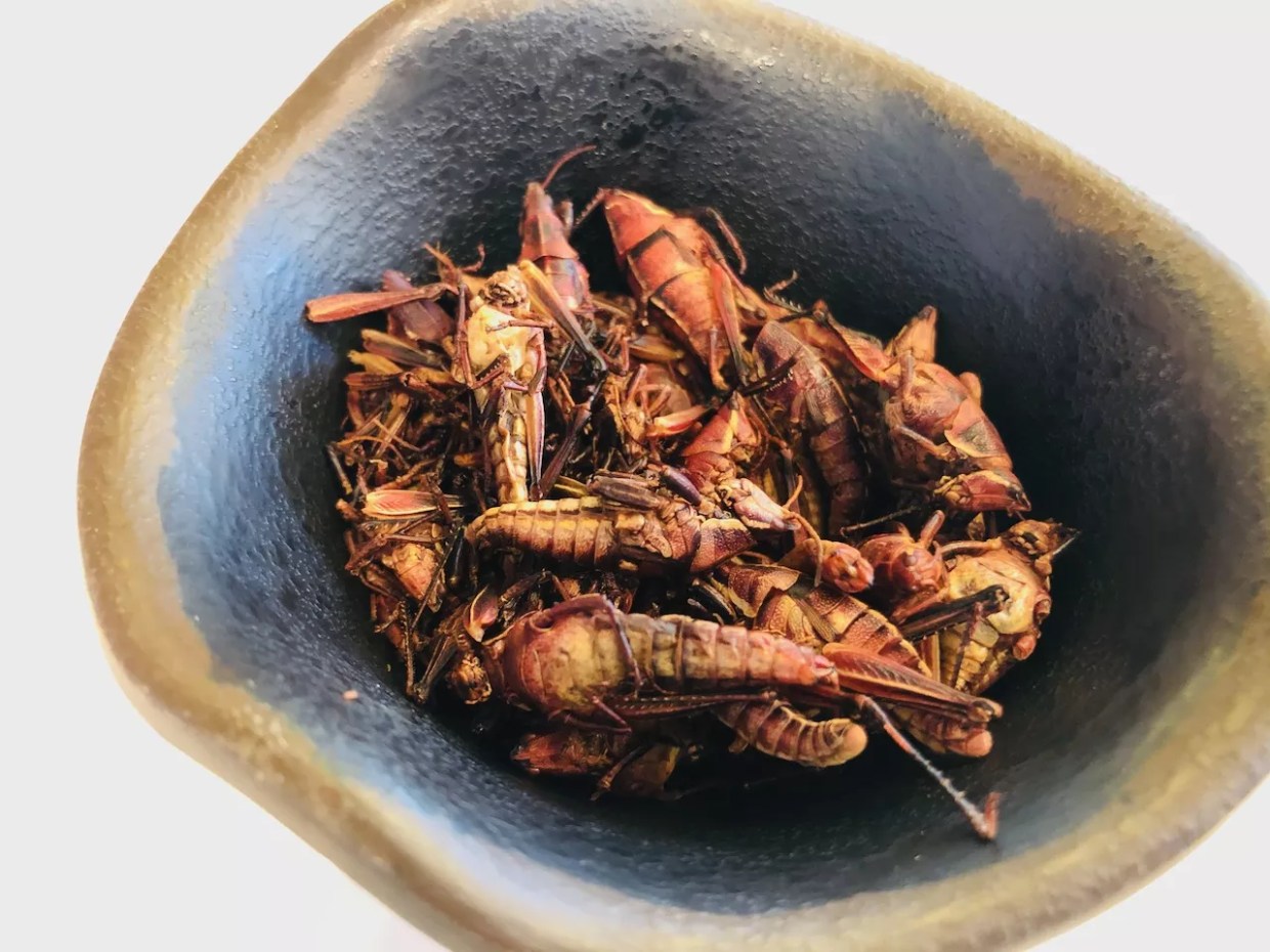 Chapulines: Is the Grasshopper Protein of Oaxaca the Future for the Rest of Us?