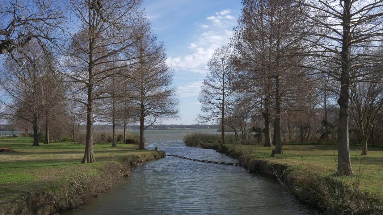 City Creates Committee To Clean Up Oncor’s Mess at White Rock Lake