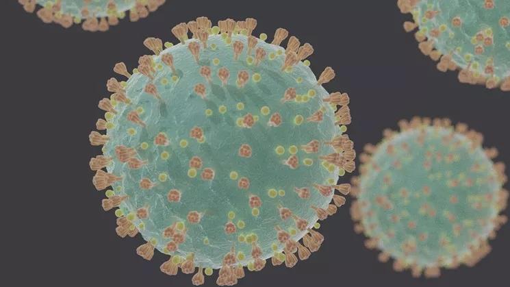 Coronavirus Arrives in Dallas County